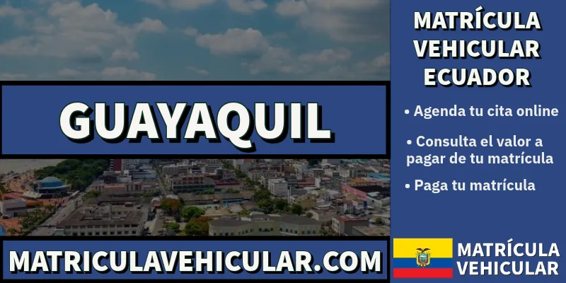 puntos para pagar matricula vehicular guayaquil