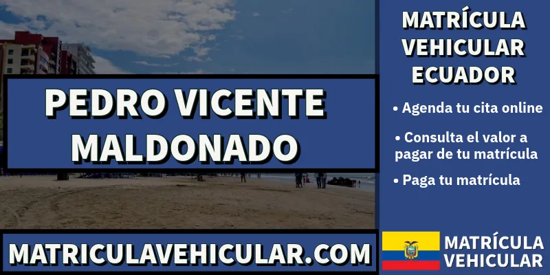 puntos para pagar matricula vehicular pedro vicente maldonado