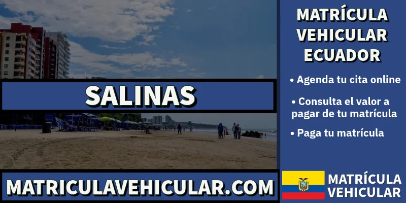 puntos para pagar matricula vehicular salinas