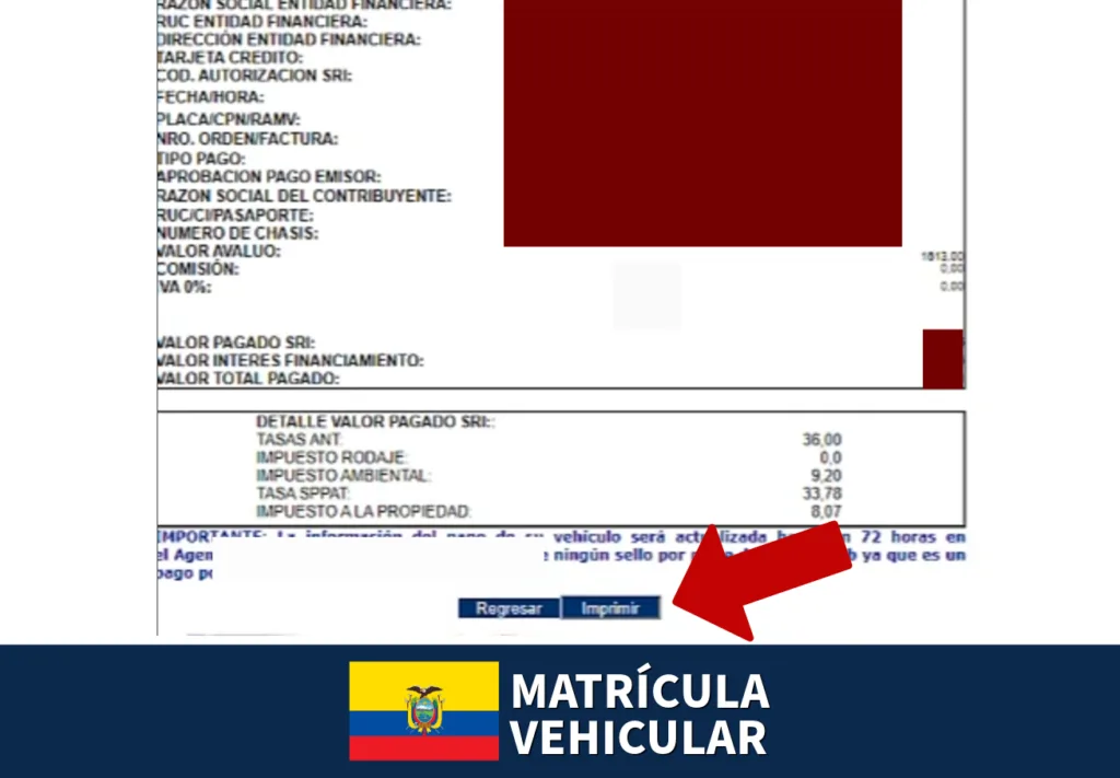 comprobante de pago de matricula vehicular