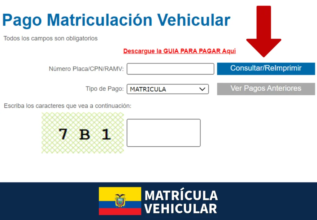 datos de la matricula de su vehiculo