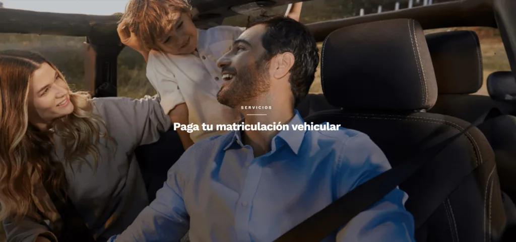 pagar matricula vehicular explicacion