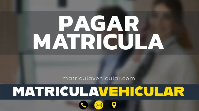 pago matricula vehicular